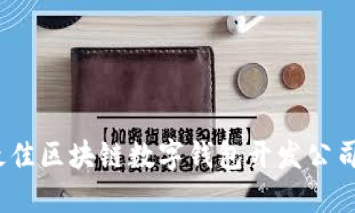 2025必看：如何选择最佳区块链数字钱包开发公司，提升你的金融安全性