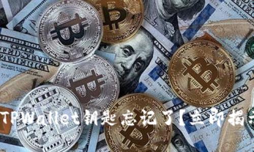 2025必看：TPWallet钥匙忘记了？立即揭示找回方法！