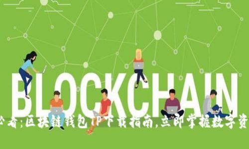 2025必看：区块链钱包TP下载指南，立即掌握数字资产安全
