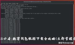 2025必看：数字钱包视频下载全攻略！