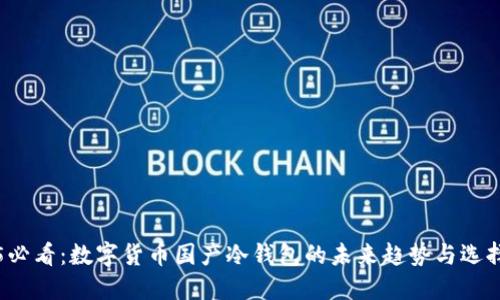 2025必看:数字货币国产冷钱包的未来趋势与选择指南