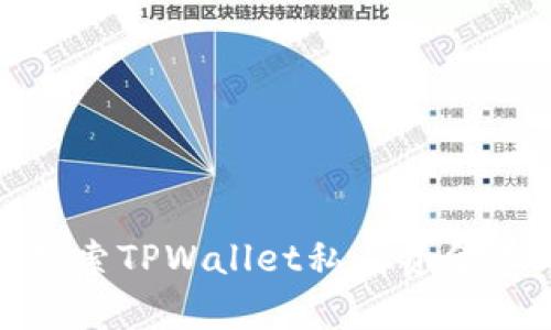 2025必看:探索TPWallet私有资金池的无限潜力