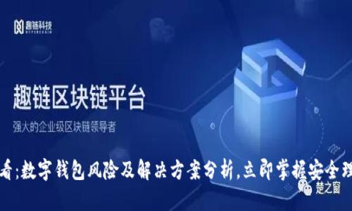 2025必看:数字钱包风险及解决方案分析,立即掌握安全理财秘籍!