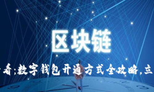 2025必看:数字钱包开通方式全攻略,立即掌握!