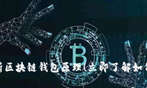 2025必看:深入解析区块链钱包原理!立即了解如何保护您的数字资产