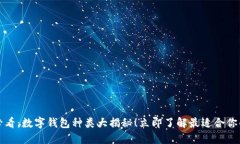 2025必看：数字钱包种类大揭秘！立即