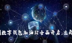 2025必看：深圳数字钱包加油站全面开