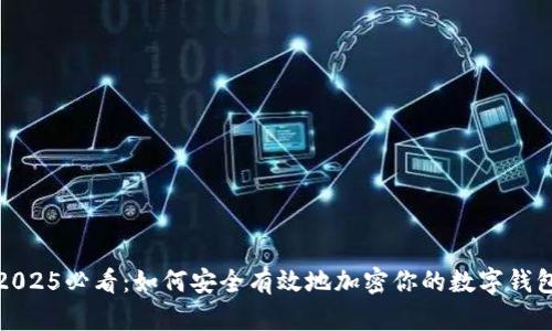 2025必看：如何安全有效地加密你的数字钱包