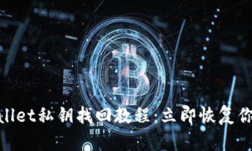2025必看！TPWallet私钥找回教程：立即恢复你的数字资产安全