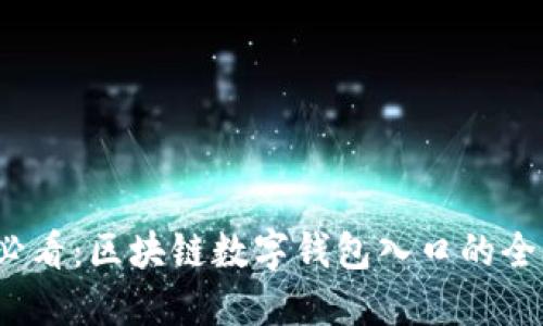 2025必看：区块链数字钱包入口的全面指南