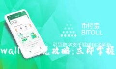 2025必看！tpwallet闪兑攻略：立即掌握轻