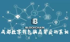 2025必看！成都数字钱包骗局背后的真
