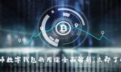 2025必看：人民币数字钱包的用途全面