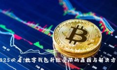 2025必看：数字钱包升级受限的原因与