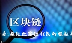 2025年必看：超级数字链钱包的崛起与