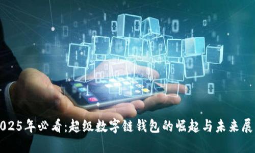 2025年必看:超级数字链钱包的崛起与未来展望