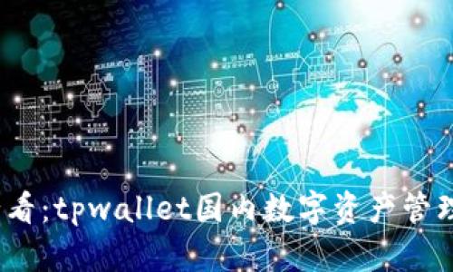 2025必看：tpwallet国内数字资产管理全攻略