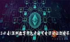 2025必看！深圳数字钱包卡通可爱设计