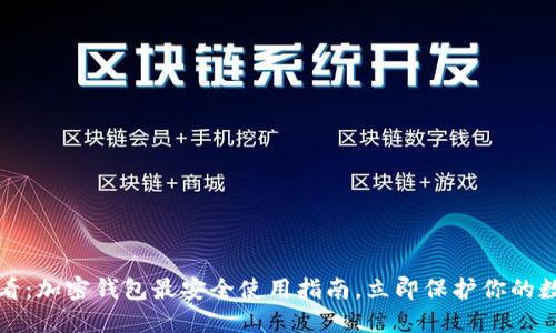2025必看:加密钱包最安全使用指南,立即保护你的数字资产!