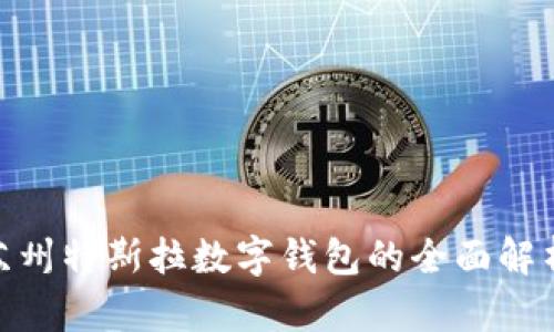 2025必看:苏州特斯拉数字钱包的全面解析与实用指南