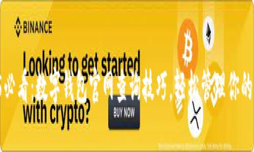 2025必看:数字钱包官网查询技巧,轻松管理你的资金!
