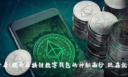 2025必看!揭开区块链数字钱包的神秘面纱,现在就来了解!