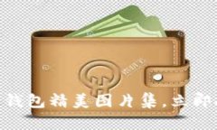 2025必看！数字货币钱包精美图片集，