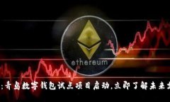 2025必看：青岛数字钱包试点项目启动