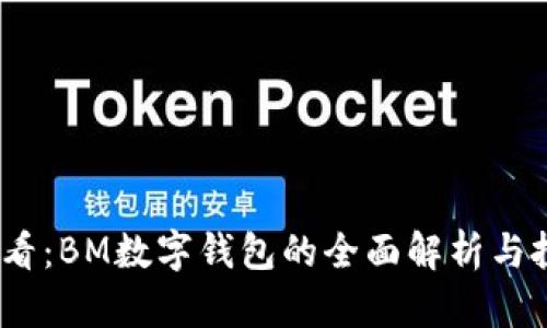 2025必看:BM数字钱包的全面解析与投资策略