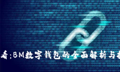 2025必看:BM数字钱包的全面解析与投资策略