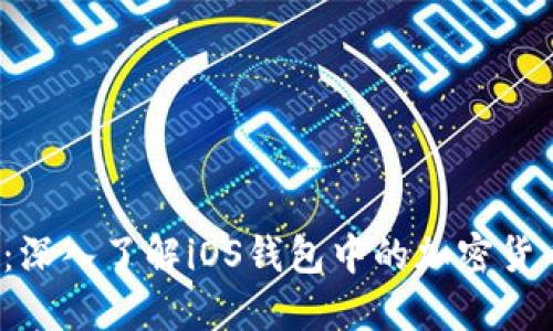 2025必看：深入了解iOS钱包中的加密货币及其应用