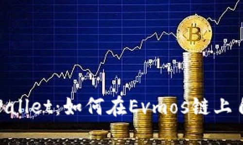 立即解锁TP Wallet：如何在Evmos链上自定义添加代币