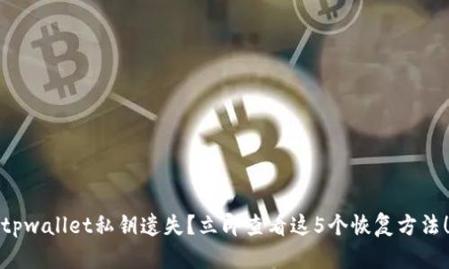 tpwallet私钥遗失?立即查看这5个恢复方法!