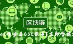 如何在TPWallet中查看BSC新币？立即掌握