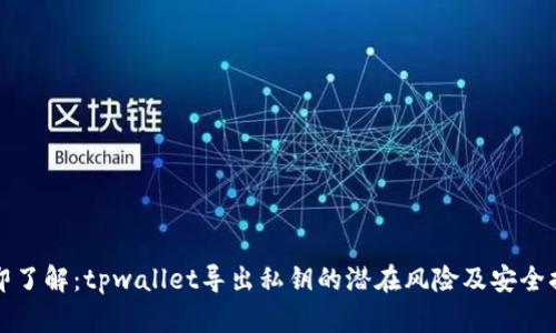 立即了解：tpwallet导出私钥的潜在风险及安全措施