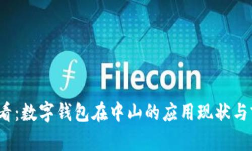 2025必看：数字钱包在中山的应用现状与前景分析