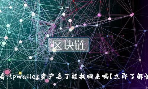 2025必看：tpwallet资产丢了能找回来吗？立即了解恢复方案！
