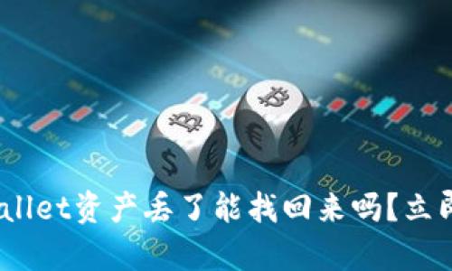 2025必看：tpwallet资产丢了能找回来吗？立即了解恢复方案！