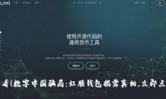 2025必看！数字中国骗局：虹膜钱包揭