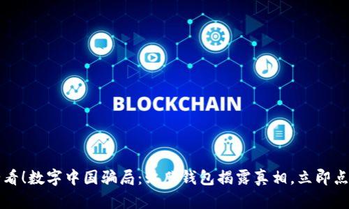 2025必看！数字中国骗局：虹膜钱包揭露真相，立即点击了解！