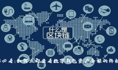 2025必看：如何立即查看数字钱包资产