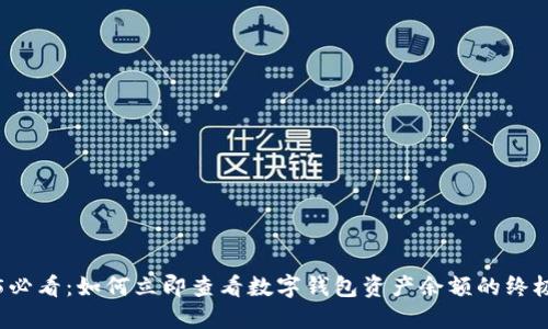 2025必看：如何立即查看数字钱包资产余额的终极指南