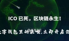 2025必看：数字钱包里的浪呗，立即开