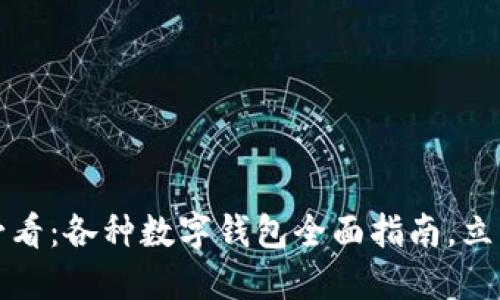 2025必看：各种数字钱包全面指南，立即了解！