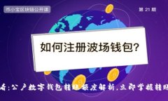 2025必看：公户数字钱包转账额度解析