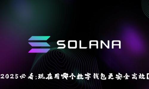 2025必看：现在用哪个数字钱包更安全高效？