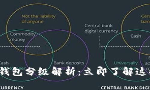 数字人民币钱包分级解析：立即了解这些重要信息！