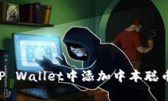 立即学习如何在TP Wallet中添加中本聪币