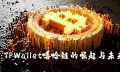 2025必看：TPWallet嘻哈链的崛起与未来发