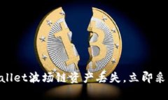 2025必看：如何防止tpwallet波场链资产丢